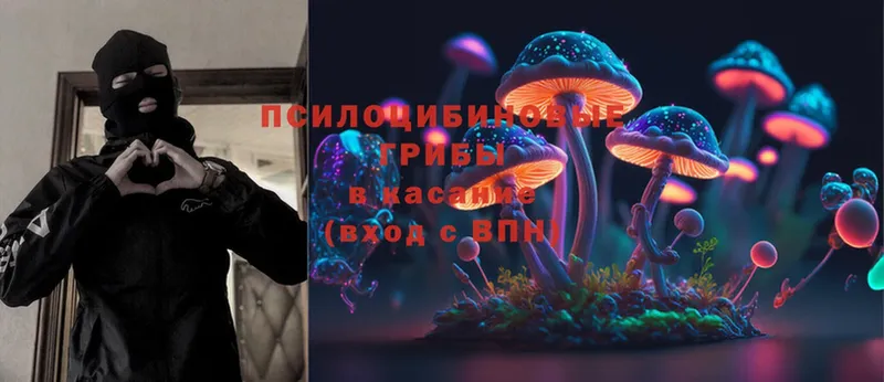 KRAKEN онион  Арск  Галлюциногенные грибы Psilocybe 